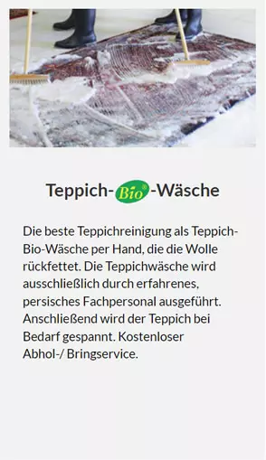 Teppichwaesche in der Nähe von  Schwabenheim (Selz)